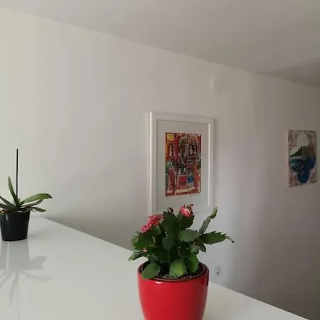 Apartamento Ivana - New Sweet